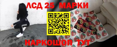 прущие грибы Апшеронск
