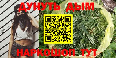 прущие грибы Апшеронск
