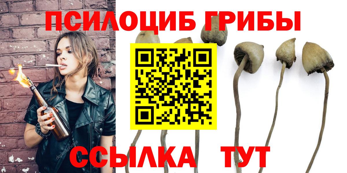 Борисоглебск  Галлюциногенные грибы GOLDEN TEACHER  Вход с VPN 